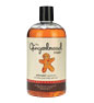frth03_philosophy_gingerbread_shower_gel