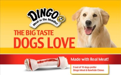 Dingo Bones