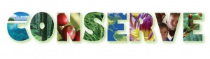 Rainforest Alliance sticker