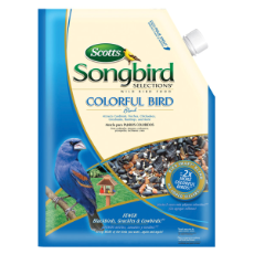Scotts Songbird