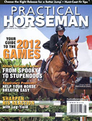 Practical-Horseman