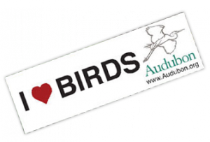 I-Love-Birds-sticker