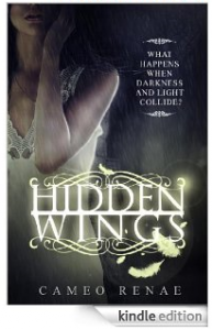 Hidden Wings