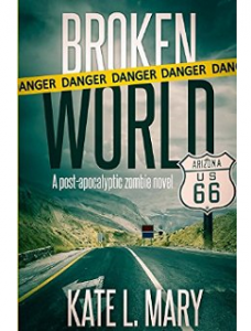 Broken World Kindle Book