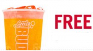 Little Buddy Fountain Drink